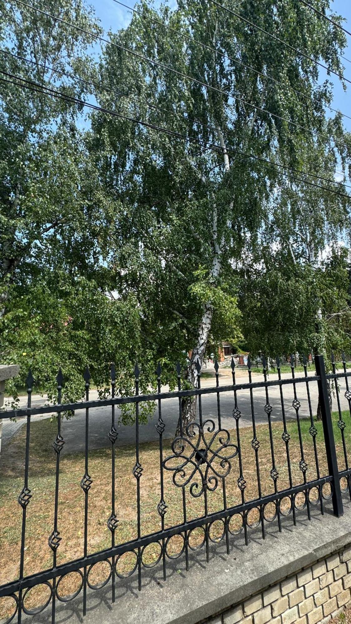 5 Hálószobás Wellness VIP House - privát medence Siófok Exterior foto